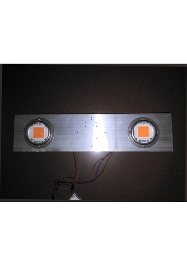 Bitki Yetiştirme İçin Kullanılan Projektör (Grow ) (456136067)