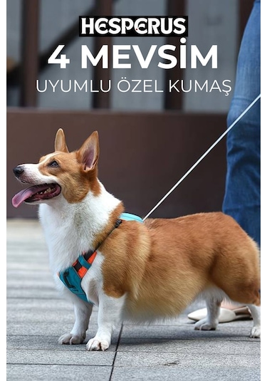 Köpek Tasması Gövdelik Ve Göğüslük Otomatik Toplama Mavi-l Mavi