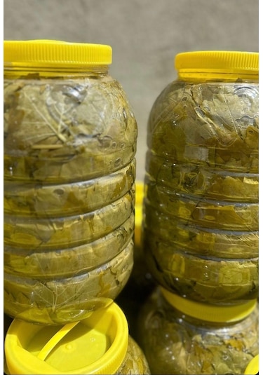 Gustolea Nature Manisa Sultaniye İlk Hasat İnce Damarsız Salamura Uç Asma Yaprağı 2025  Yeni Sezon