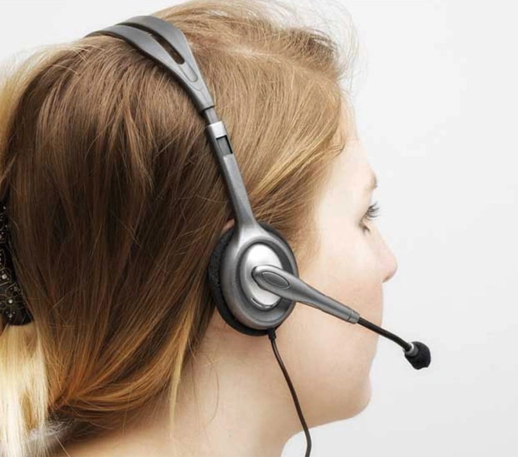 Sones Logitech H110 Çift 3,5 Mm Ses Girişli Stereo Kulaklık