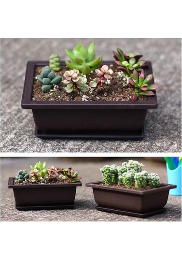 Etli Saksı Kare Dikdörtgen Plastik Bonsai Saksı Bahçe Aracı 1