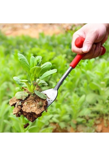 Pazly Suntek Kürek Kazma, Bahçe El Aleti, Saksı Nakli Ve Toprak Ayıklama