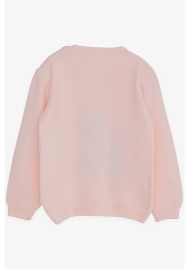 Breeze Kız Çocuk Triko Kazak Pullu Nakışlı Kız Baskılı 1.5-5 Yaş, Pudra Breeze Kız Çocuk Triko Kazak Pullu Nakışlı Kız Baskılı 1.5-5 Yaş, Pudra