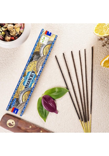 Satya Money Para Aromalı Masala Stick Tütsü