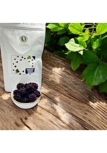 Dondurularak Kurutulmuş Böğürtlen 20 G