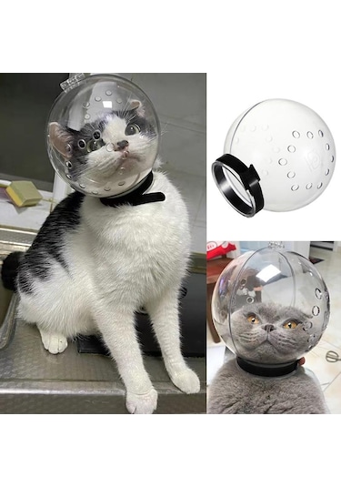 Lavimo Kedi Bakım Küresi