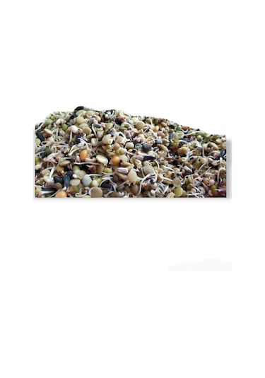 Kuşlara Çimlendirmelik Filizlendirmelik 11 Çeşit Tohum 1 KG