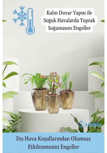 Saksı Çiçek Kaktüs Saksısı Lüx 15 Cm Poly Desen Saksı Çiçeklik - Altın Eskitme