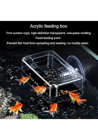 Sones Akrilik Şeffaf Besleme Halkası Balık Tankı Besleyici Yüzer Sabit Balık Besleyici, Özellikler: Küçük Silindir