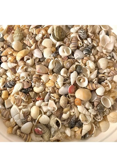 Willowhaven 120g Renkli Mini Reçin El Yapımı Deniz Kabuğu Kum Mix Akvaryum Dekor Dıy Tırnak Sanatı