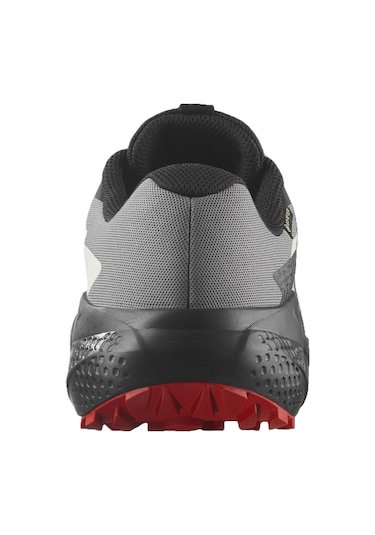 Salomon Alphaglıde Gore-tex Erkek Ayakkabısı L47975200 Çok Renkli