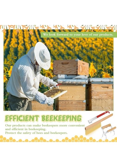 Pazly Suntek Ahşap Saplı Kovan Fırçası Arıcılık Aleti 3x Pm