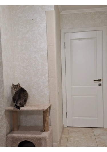 Moca Köşe Tipi Duvara Monte Edilen Kedi Tırnak Törpüsü 200x23 Cm 241601328