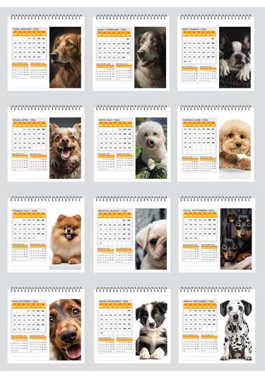2026 Yeni Köpek Masa Takvimi-16x15 Cm