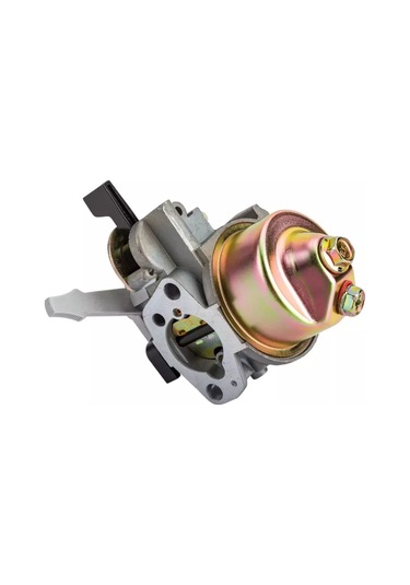 Royal Hıghness Molotov Motoru 168f 170f İçin Karbüratör 218112378