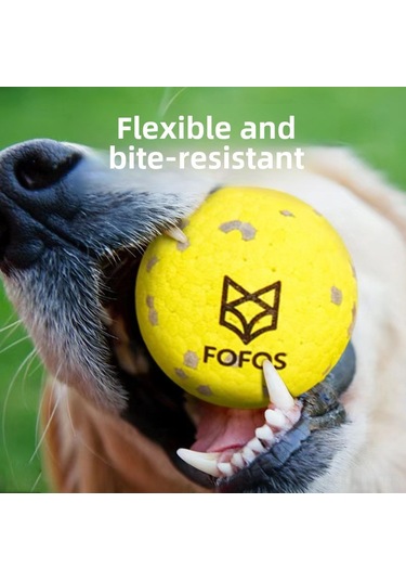 Hangfox Köpekler İçin Dayanıklı Diş Tırmalama Oyuncak Seti - Büyük Irklar İçin, Dışarıda Eğlence: Frisbee + Moleküler Top + Esnek Top Sarı