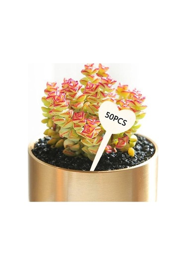 Trendooze Homyl 50 Adet Bitki Kalp Şekil Saksı Etli Ekici Adı Etiketleri