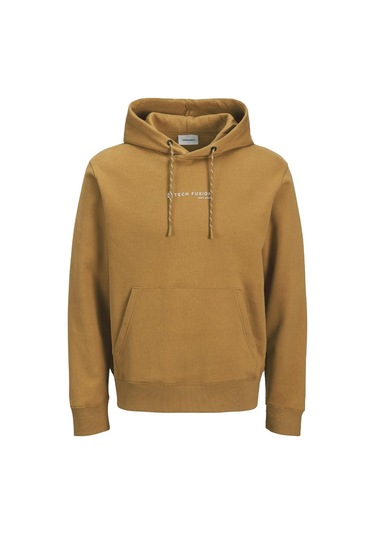 Jack & Jones Jjskı Kapüşonlu Sweatshirt Erkek Logo Hoodie Aw25 Çok Renkli