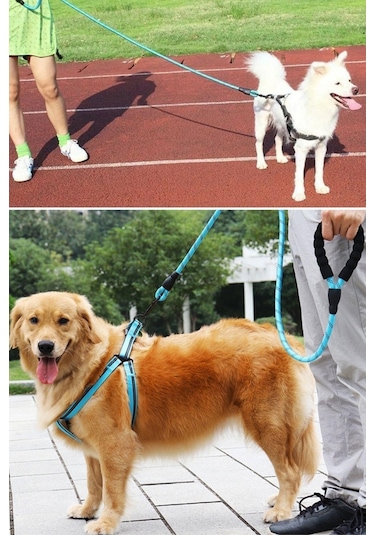 Buffer Reflektörlü Fosforlu Köpek Gezdirme Halatı Tasma Kayışı Metal Kancalı 130 CM Mavi