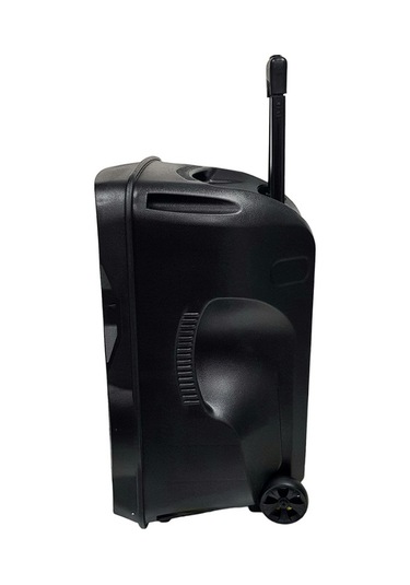 Electromaster Es-3030 12'' Portatif Taşınabilir Ses Sistemi 150watt 1el Telsiz+1yaka Telsiz