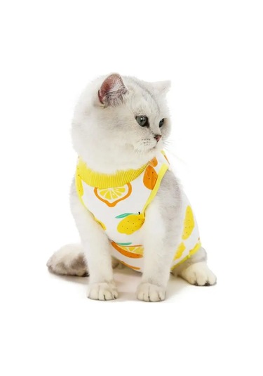 Best Golden Monkey Kediler İçin Ameliyat Sonrası Örtü 95680511