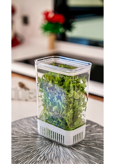 Ludıa Vakum Kapaklı Sebze Yeşillik Saklama Kabı 2900 Ml Beyaz - Şeffaf