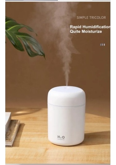 Usb Buhar Makinası Hava Nemlendirici Siyah Beyaz