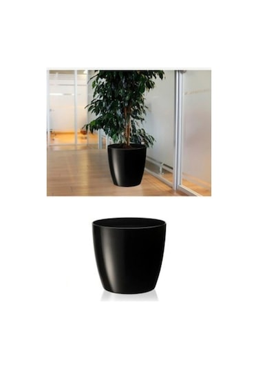 Rüzgar Yapay Çiçekçilik Serinova Yakut 3 4,4 Litre Saksı