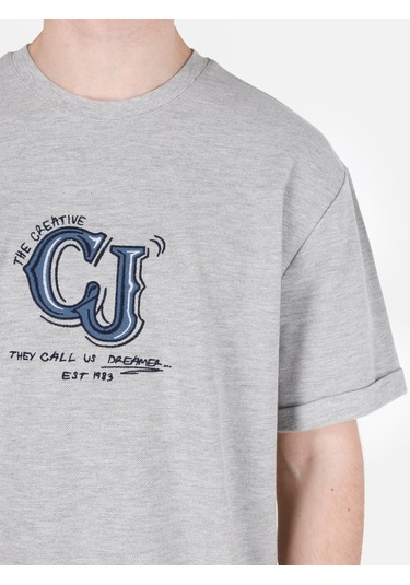 Colins Normal Kesim Bisiklet Yaka Baskılı Gri Erkek Kısa Kol Tişört Cl1071732 Cl1071732 Q1.v1 Mga Gri Melanj Colins Normal Kesim Bisiklet Yaka Baskılı Gri Erkek Kısa Kol Tişört Cl1071732 Cl1071732 Q1.v1 Mga Gri Melanj