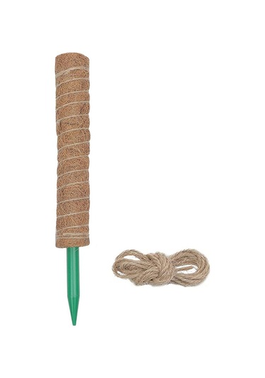 Lebihmurah 3044 Bitki Tırmanma Hissesi Kullanımı Kolay Hava Koşullarına Direnç Bitki Büyüme Hissesi