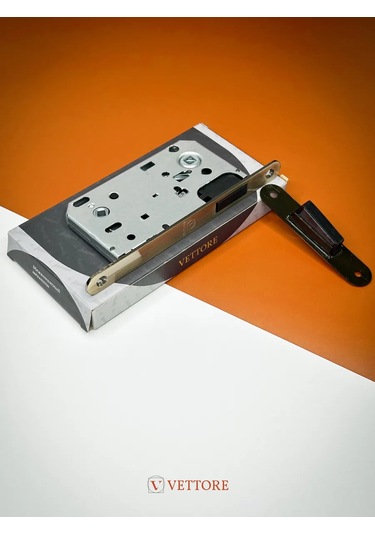 Vettore Manyetik Dil Tip Gömme Kilit 215236653 Zirveli