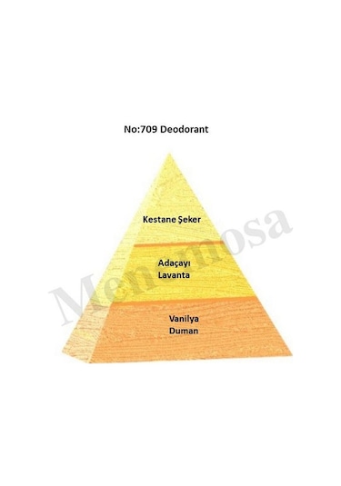 No:709 Erkek Oriental Deodorant 150ml - Mnms150no709deo