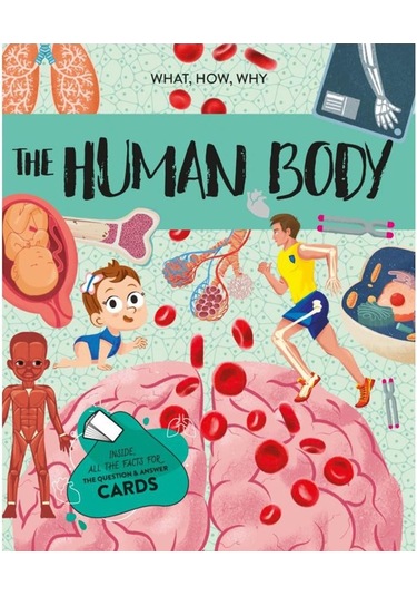 Human Body - The Ultimate Atlas Canlı Renkler