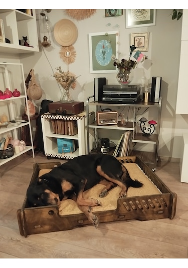 Pet Dizayn Bilboa Büyük Köpek Yatağı 2XL