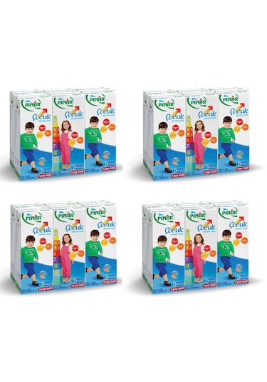 Pınar Çocuk Devam Sütü 200 Ml X 24 Adet