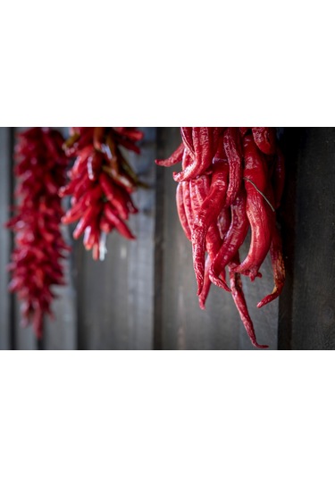 Meşhur Edirne Karaağaç Biberi Tohumu