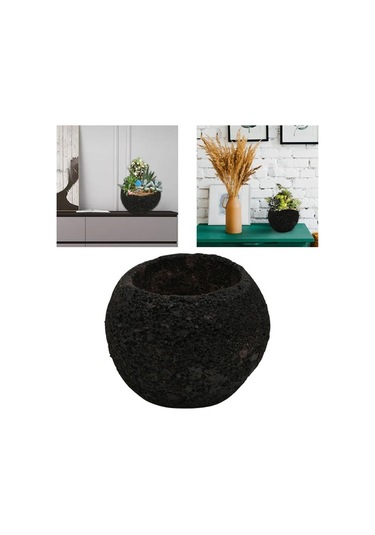 Pazly Uzay Suntek Soyut Saksı Reçine Göktaşı Etli Uw