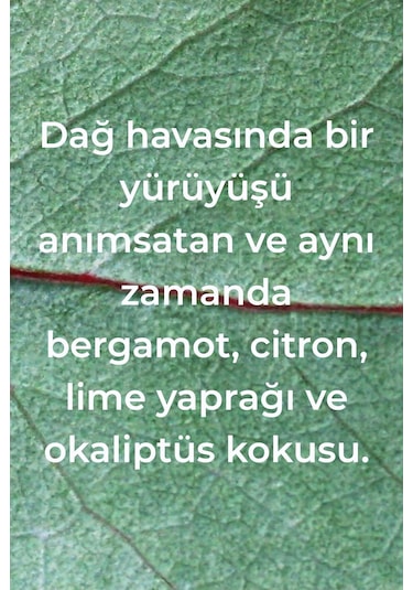 Method Banyo Temizleyici Okaliptüs ve Nane Kokulu 828 ML