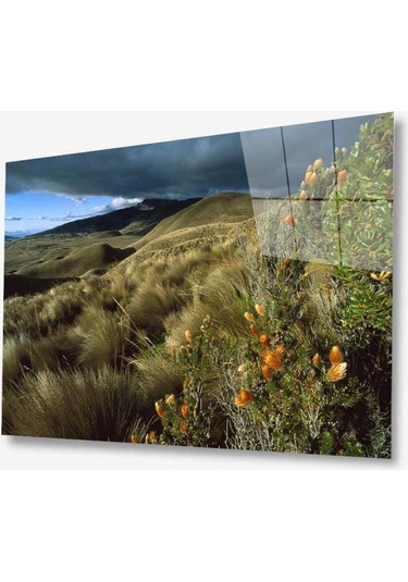 Manzara Doğa Cam Tablo 4mm Dayanıklı Temperli Cam30