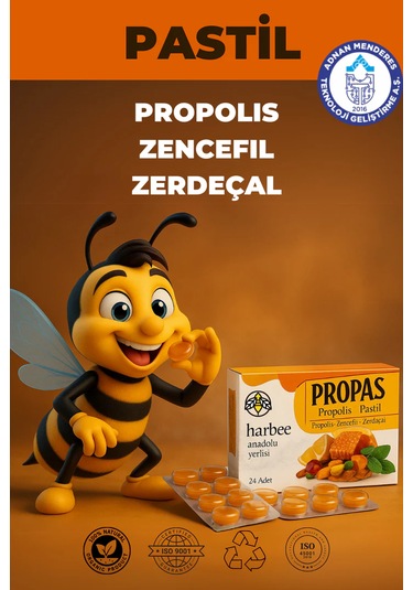 Propolis Zencefil Zerdaçal Pastil 16 Lı Boğaz Rahatlatıcı - Ha...
