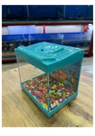 Mavi Renkli Mini Kare Akvaryum 20x20x15