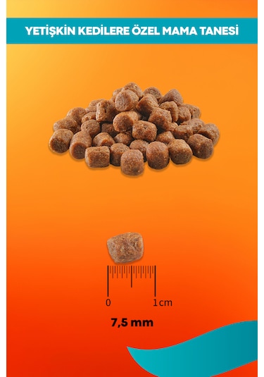 Tavuklu Yetişkin Kedi Maması Maintenance - 2kg