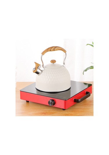 Paslanmaz Çelik Çaydanlık, Yüksek Sesli Düdük, Isıya Dayanıklı Sap, Eşit Şekilde Isıtılmış Taban, Güzel Ve Dayanıklı Yapı, Sıcaklığa Dayanıklı Sap Diğer