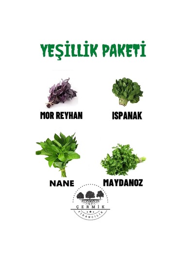 Tohum Paketi Mor Reyhan , Ispanak , Nane ,maydanoz , 40 Gr