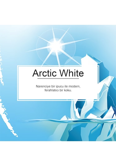 Little Trees Arctic White Buz Beyazı Ferahlığı Aromalı Asma Oto