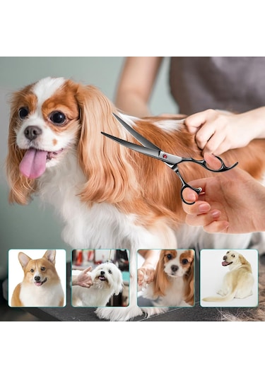 Müstesna Profesyonel Pet Kuaför Kavisli Makas 19.5 CM