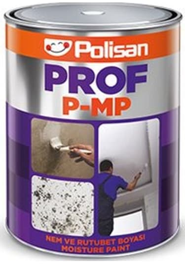 Polisan Prof P-Mp Nem ve Rutubet Boyası 1 Kg