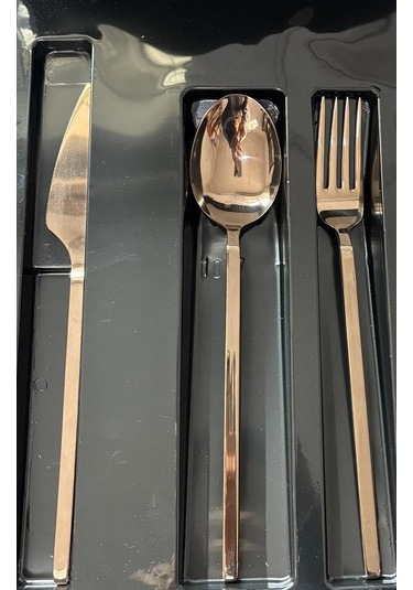 Arsel Venüs Titanyum Rose 84 Parça Kutulu Çatal Bıçak Takımı 4 Mm Rose