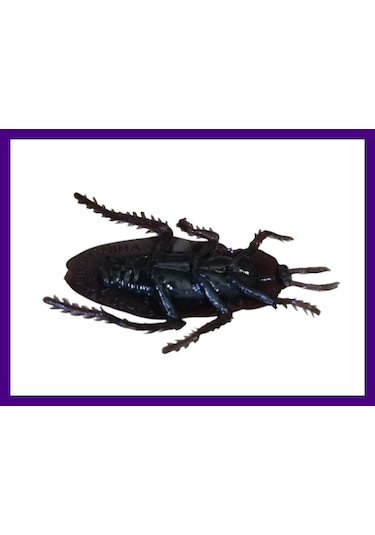 Şakacı Şaka Oyncak Silikon Hamam Böceği Parti Eğlence