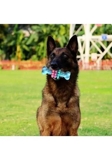 Elmpaly Yeşil Kemik: Küçük Ve Orta Boy Köpekler İçin Süper Dayanıklı Diş Temizleyen Çiğneme Oyuncak